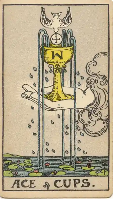 Ace of Cups